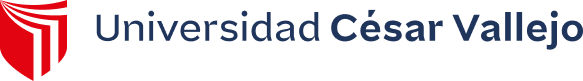 Universidad César Vallejo